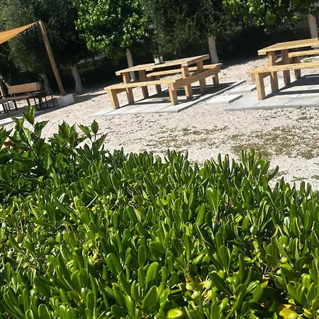 Angelos 3-4 In Rhodes-upper Floor *